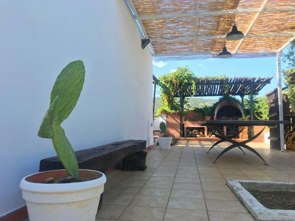 Villa Sara Di Puglia Καστελανέτα Εξωτερικό φωτογραφία