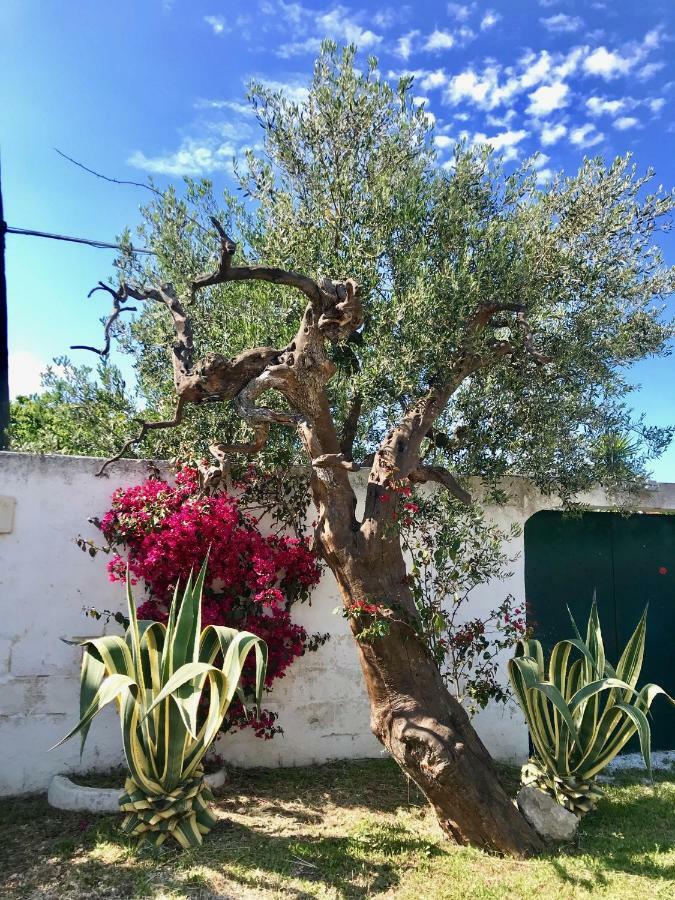 Villa Sara Di Puglia Καστελανέτα Εξωτερικό φωτογραφία